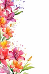 Fototapeta premium alstroemeria themed frame or border for photos . featuring colorful blooms with speckled petals. watercolor illustration, white color background. For Wedding Invitations and Spring Greeting Card.