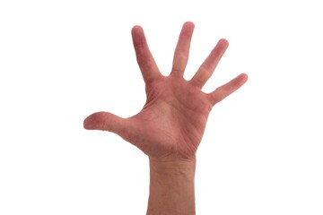Hand signs. Five. Male hand with five fingers directed upward isolated on white background.