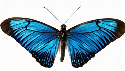 Close-up of Business Person Writing on Paper in Low Light Setting