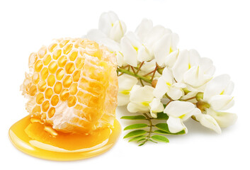Cluster of blooming acacia flowers and fresh honeycombs isolated on white background. Monofloral honey.