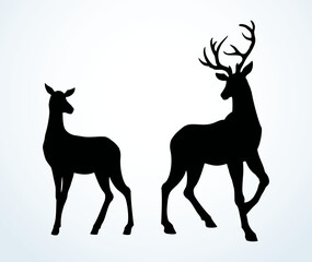 Silhouette of deer in the grass by the oaks. Vector drawing