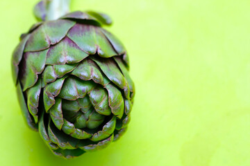 Fototapeta premium Purple artichoke on green background.