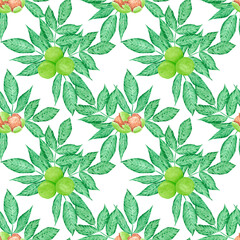 Hand drawn watercolor walnut with green leaves seamless pattern isolated on white background. Can be used for textile, fabric, wrapping and other printed products.