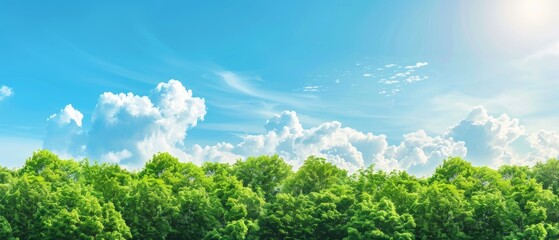 Obraz premium Bright sunny day with lush green trees under a clear blue sky filled with fluffy white clouds, perfect nature scenery for tranquil background.
