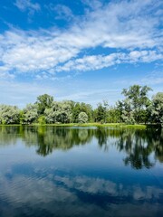 summer lake in the park, blue sky with white clouds and green trees reflection on the lake surface