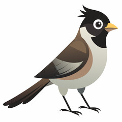 Vector illustration of bird