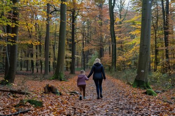Fototapeta premium A family walking through a forest in autumn, leaves crunching underfoot, the joy of togetherness and natures beauty