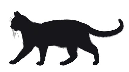 Obraz premium Black cat silhouette walking against a white background, perfect for Halloween and animal-themed designs.