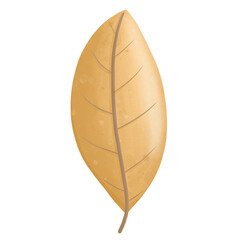 Leaf