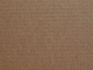 Fototapeta premium corrugated cardboard blank sheet