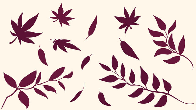 Set of leaf silhouettes, maple leaves and branches. Different simple vector plants illustration for autumn design