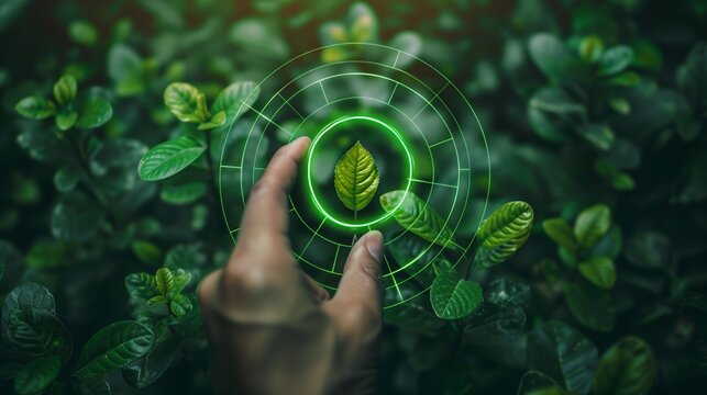 Enviromentally sustainable company target in 2024.