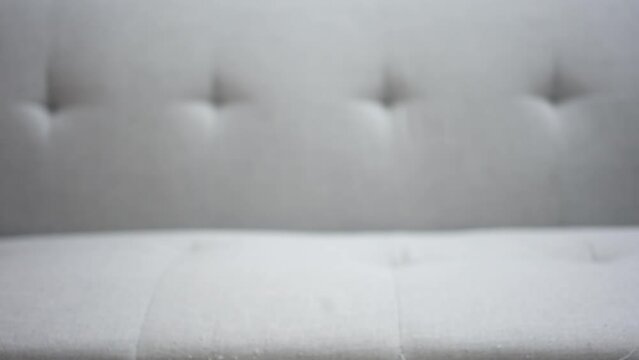 The yellow British Longhair cat is looking at a cat toy on the grey sofa.