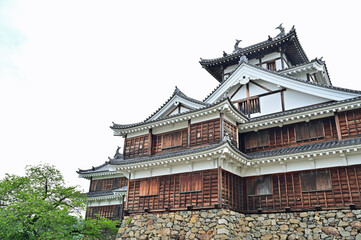 Fototapeta premium 福知山城 京都府福知山市