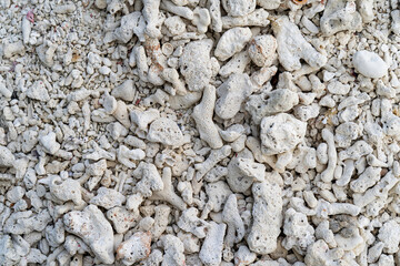 Lakshadweep coral Island, India