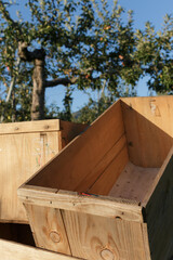 Empty wooden apple boxes used in orchard farming