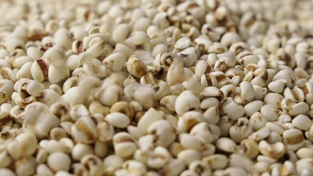 Raw Job's tears beans seed food background.