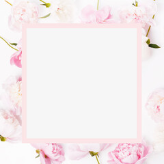 Flowers composition. Frame made of pink peony flowers on white background. Flat lay, top view, copy space