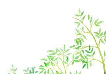 水彩絵の具で描いた笹のイラスト