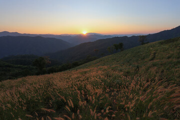 complex mountain landscape, trees Ready for the sunset Beautiful evening Mountain meadow at sunset There is space for text.