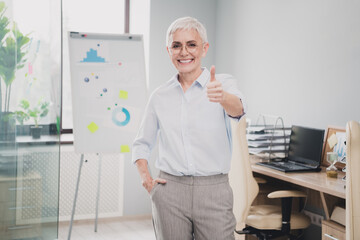Photo of happy charming senior lady assistant wear formal shirt showing thumb up leading seminar indoors workshop workstation