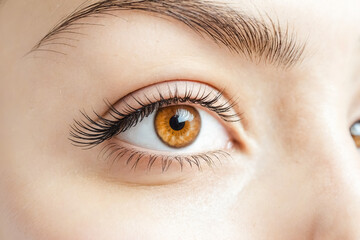 Obraz premium Close up of a woman's hazel eye with long eyelashes