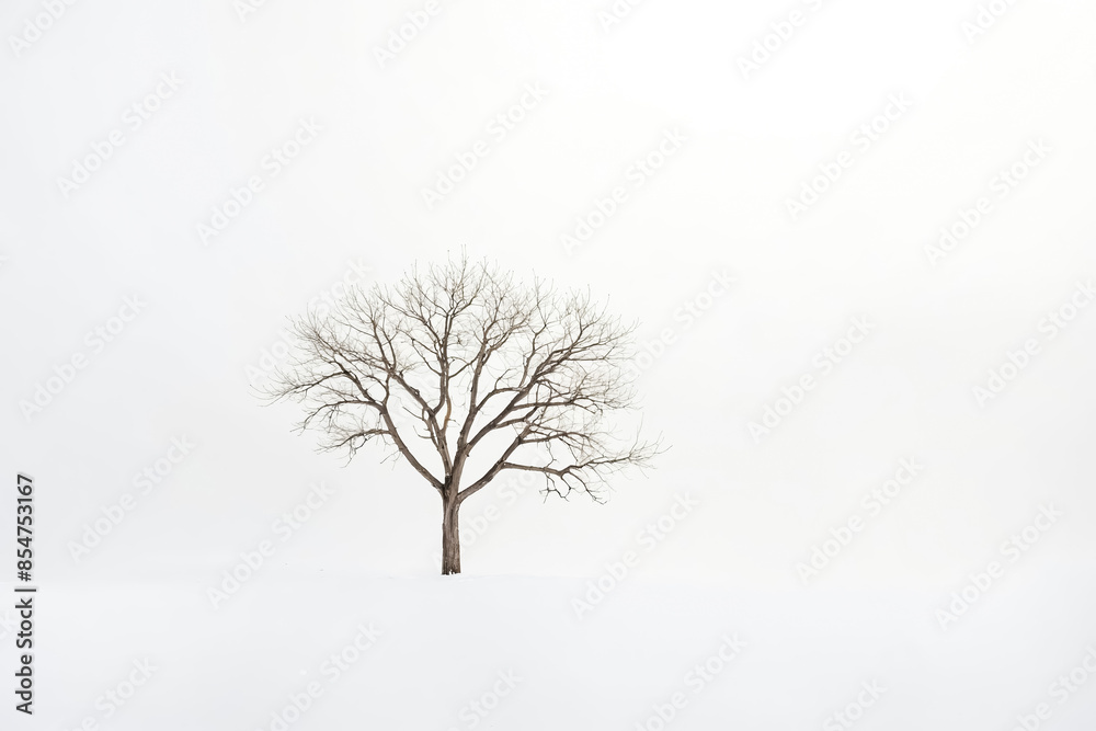 Sticker Bare Tree in a Snowy Field