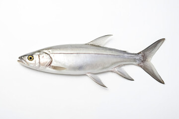 Fototapeta premium Fresh Silver Fish on White Background