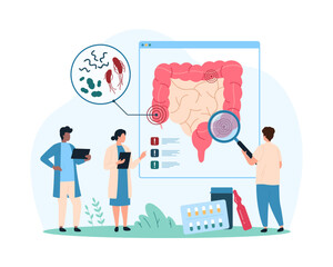 Overgrowth of bad bacteria in intestines, inflammation in gastrointestinal tract. Tiny people with magnifying glass research small microbes and bacillus in human bowel cartoon vector illustration