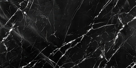 Black Marble with White Veins