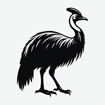recommend clip art: vector silhouette cassowary design, exotic wildlife clipart, tropical and colorful bird graphics