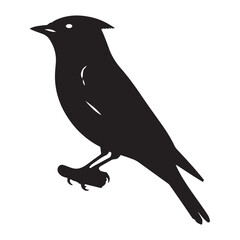 vector silhouette cedar waxwing design, colorful bird illustration, nature and wildlife graphics