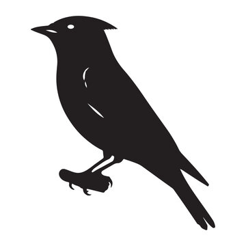 recommend clip art: vector silhouette cedar waxwing design, colorful bird illustration, nature and wildlife graphics