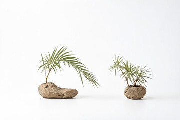 Obraz premium Two Green Plants in Stone Pots on a White Background