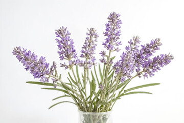 Obraz premium Purple Lavender Flowers in a Glass Vase