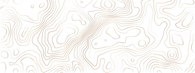 Transparent PNG Topographic line map. Modern design with White background with topographic wavy pattern design.	