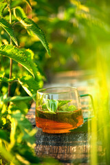 Nettle tea on a rough wooden background among nettles.
