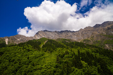 Obraz premium Valley of Flowers, Mountain Scapes of Himalayas in Chamoli Uttarakhand India