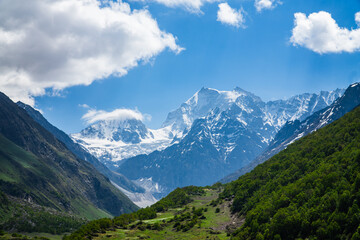 Fototapeta premium Valley of Flowers, Mountain Scapes of Himalayas in Chamoli Uttarakhand India