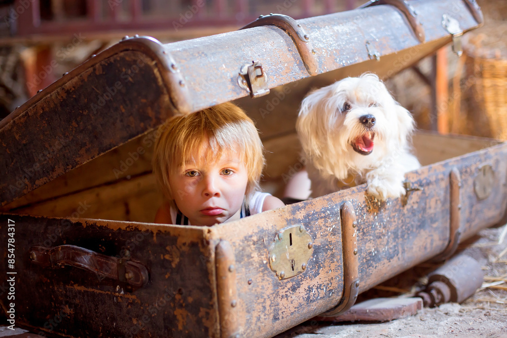 Poster Cute toddler child, blond boy, hiding in a big suitcase in the attic, looking scared