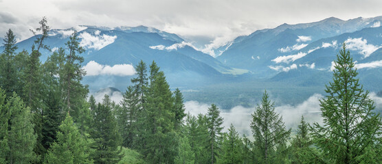 Foggy morning in the mountains, cloudy weather, summer travel, panoramic view