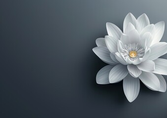 23h the image of a white lotus on a dark gray background for a gift certificate, beautiful and elegant - Powered by Adobe