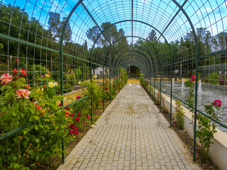 Paseando por el parque.