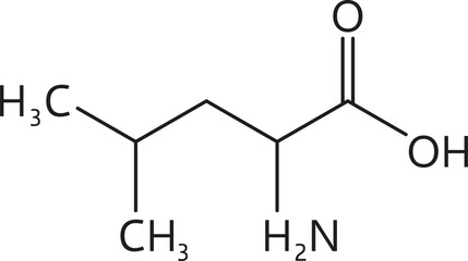 Amino acid chemical molecule of Leucine, molecular formula and structure chain, vector icon. Leucine essential amino acid of biosynthesis of protein for pharmacy medicine and health nutrition study