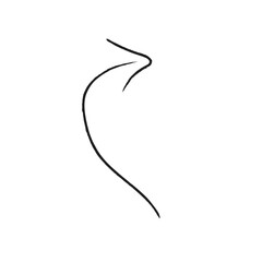 black arrow icon transparent png or isolated on  white background. flat style. arrow icon for your web site design, logo, app, UI design.