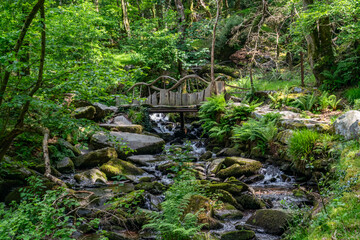 Fototapeta premium the circular walk around Llanberis lake , Snowdonia