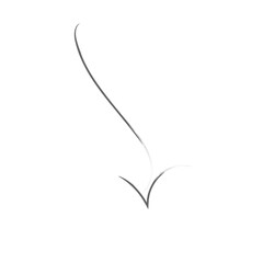 black arrow icon transparent png or isolated on  white background. flat style. arrow icon for your web site design, logo, app, UI design.