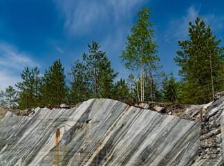 Fototapeta premium Marble Cliff and Pine Trees under Blue Sky in Karelia