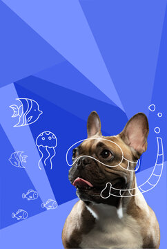 Contemporary artwork. Vector illustration. Close-up photo of French bulldog swimming underwater wearing scuba mask. Concept of pets, holidays, positive emotions, companion, rest, summer vacation.