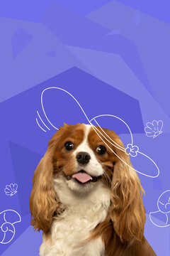 Contemporary artwork. Vector illustration. Close-up photo of cavalier King Charles Spaniel wearing knit hat. Vibrant color scheme. Concept of pets, holidays, positive emotions, rest, summer vacation